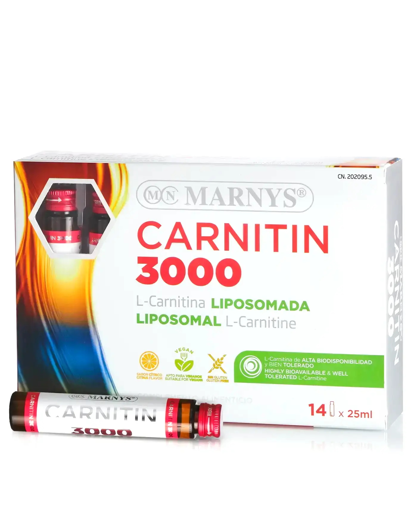 should i take acetyl carnitine or l carnitine Acetyl L-Carnitine 500 mg Capsules
