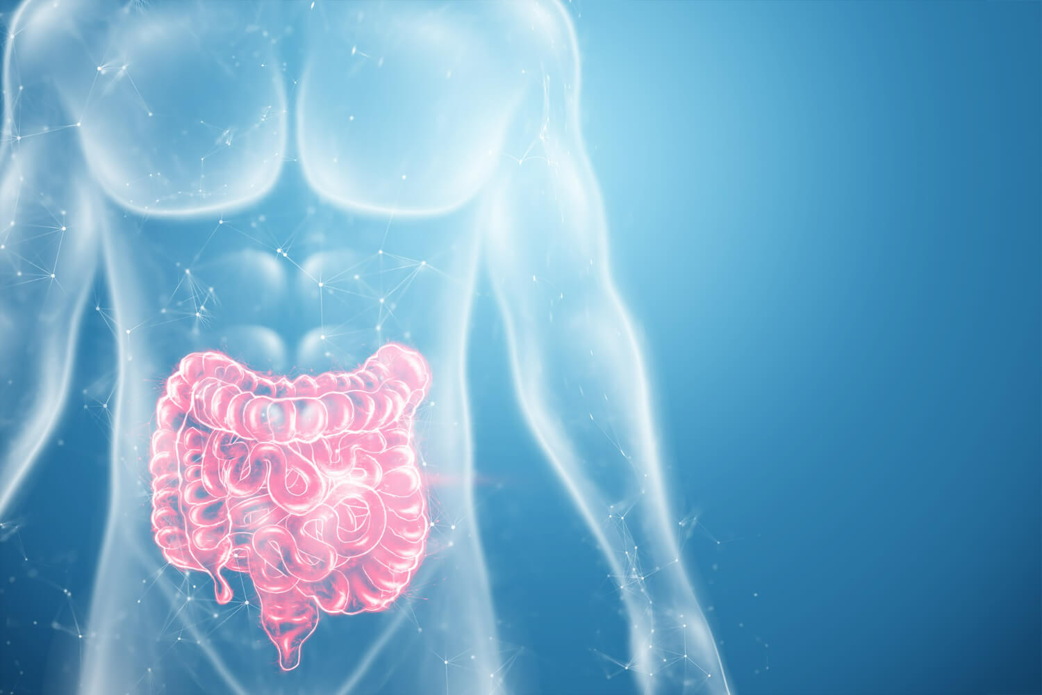 Intestinele si obezitatea Intestinele si obezitatea