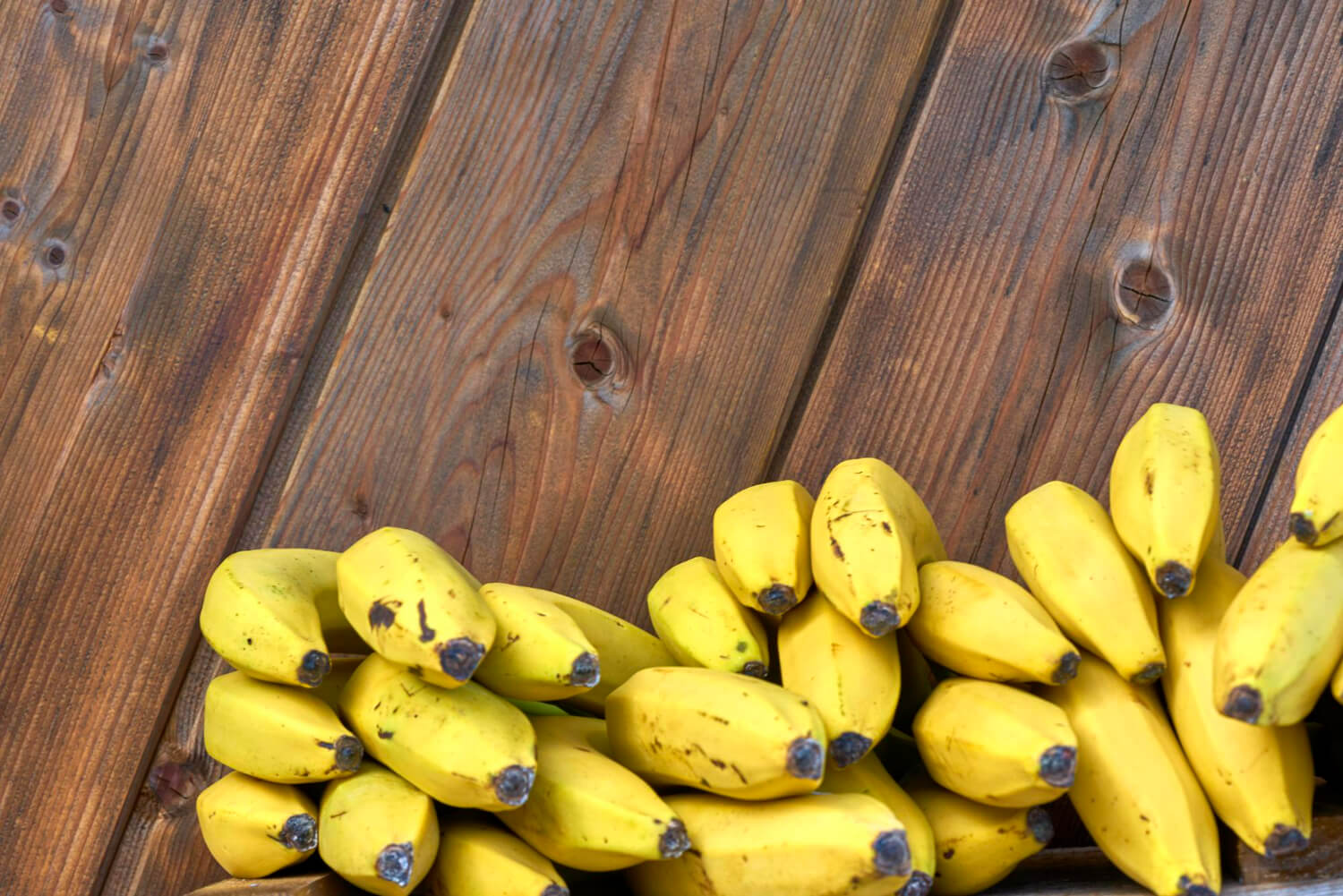 Banane Banane