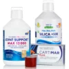 Cartilaje Sănătoase – Trio Regenerare cu Joint Support Max, Siliciu si Cartimar Plus